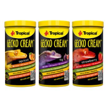 Gecko Cream Apricot